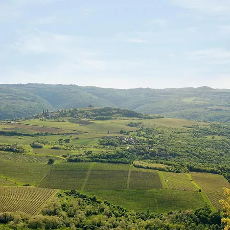 Holiday home Pet Friendly In With Sauna Motovun